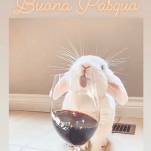 Meet your Posher, Franca